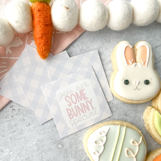 you are somebunny special square tags - pack of 24