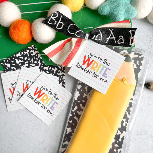 2023 you're the write teacher for me square tags - pack of 24