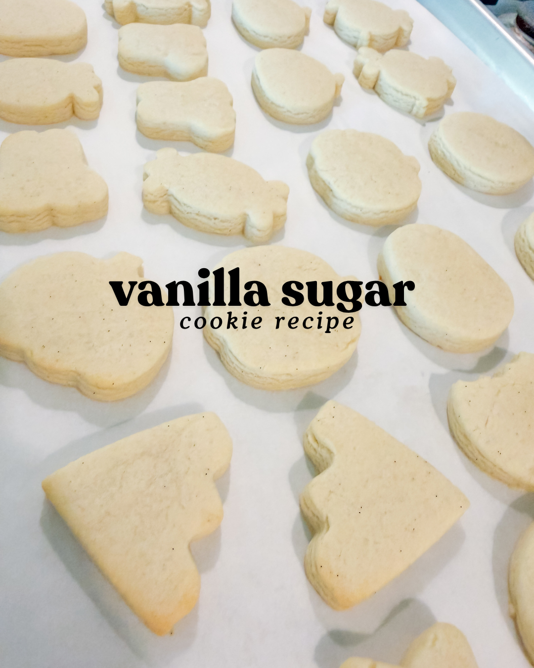 simple vanilla sugar cookie recipe