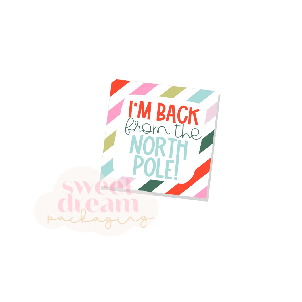 i'm back from the north pole tag - digital download