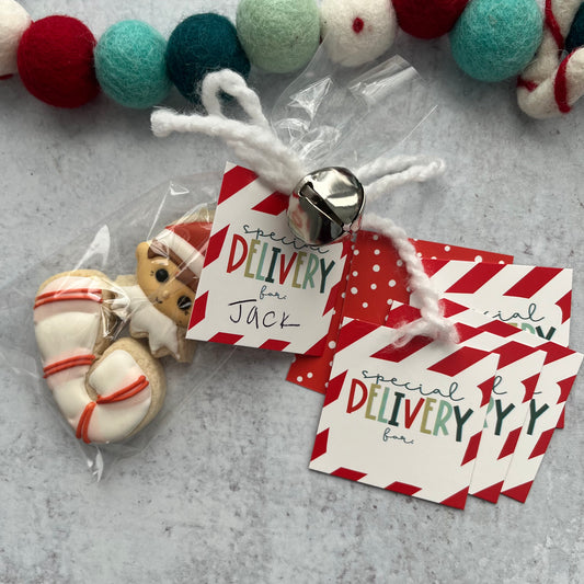 special delivery square tags - pack of 24