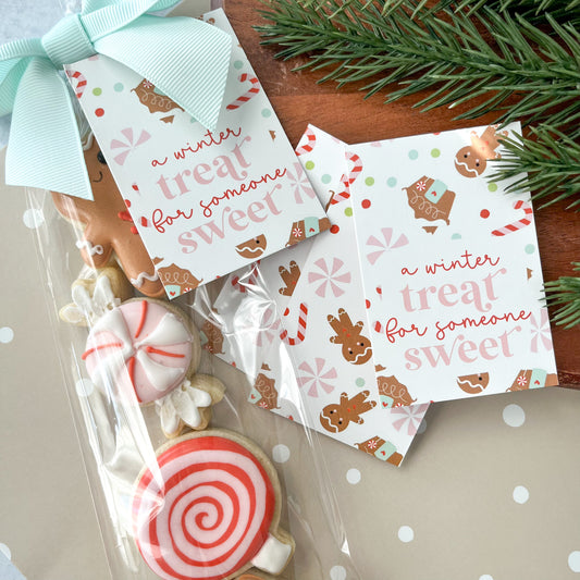 a winter treat for someone sweet rectangle tags - pack of 24
