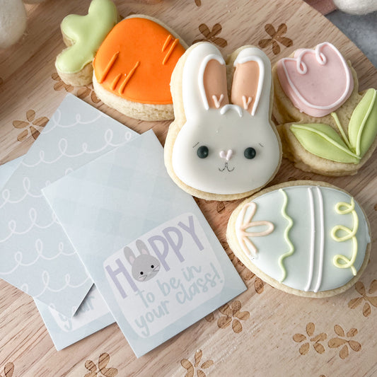 hoppy to be in your class bunny rectangle tags - pack of 24