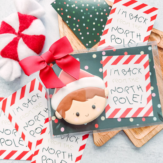 i'm back from the north pole 3x4 cards -  pack of 24