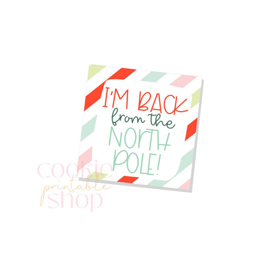 i'm back from the north pole tag - digital download