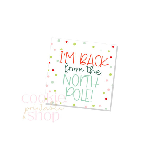 i'm back from the north pole tag - digital download