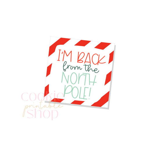 i'm back from the north pole tag - digital download