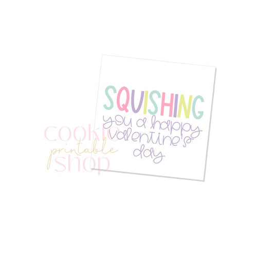 squishing you a happy valentine's day tag - digital download