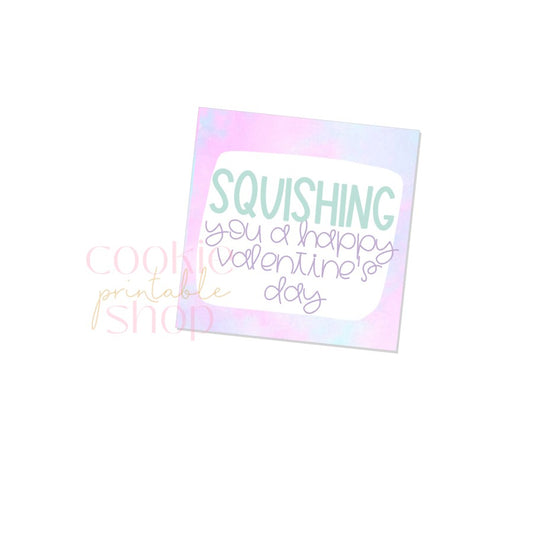 squishing you a happy valentines day tag - digital download
